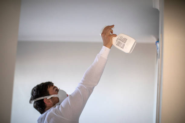 Best Crawl Space Mold Removal  in Pingree Grove, IL