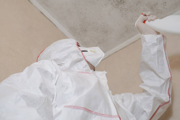 Best Mold Testing  in Pingree Grove, IL